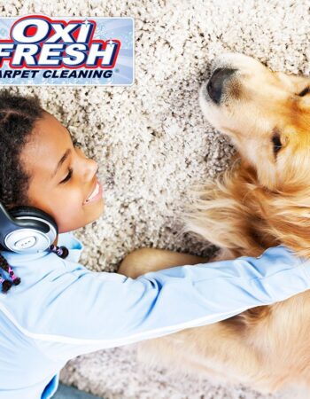 Oxi Fresh Carpet Cleaning – Meridian, ID
