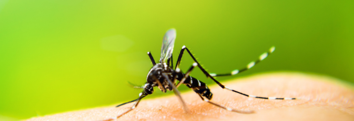 Mosquito Authority – Baton Rouge & SE Louisiana